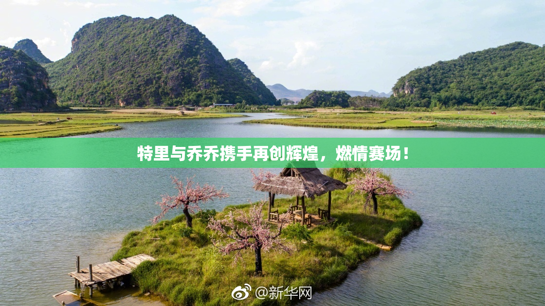特里与乔乔携手再创辉煌，燃情赛场！
