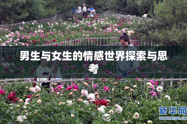 男生与女生的情感世界探索与思考
