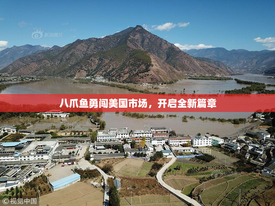 八爪鱼勇闯美国市场，开启全新篇章