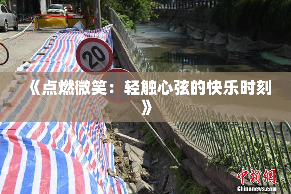 《点燃微笑：轻触心弦的快乐时刻》