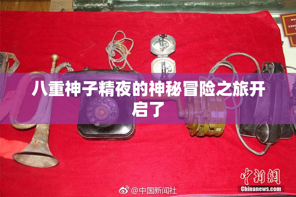 八重神子精夜的神秘冒险之旅开启了