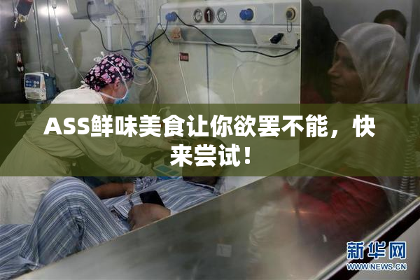 ASS鲜味美食让你欲罢不能，快来尝试！