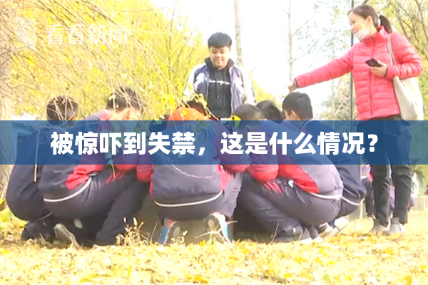 被惊吓到失禁，这是什么情况？