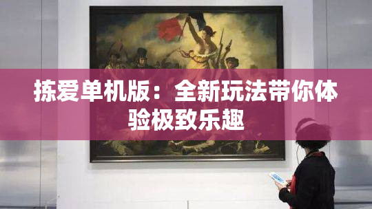 拣爱单机版：全新玩法带你体验极致乐趣
