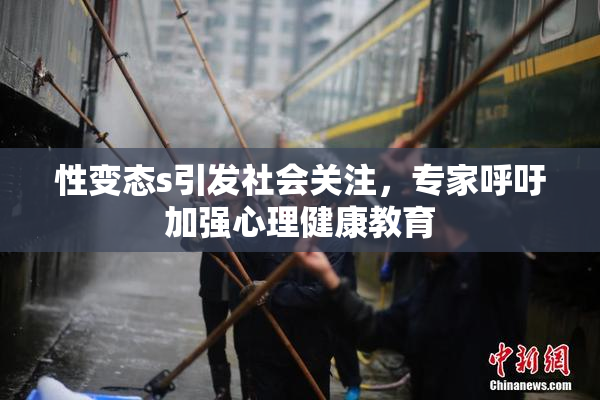 性变态s引发社会关注，专家呼吁加强心理健康教育