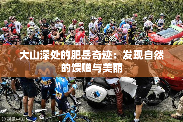 大山深处的肥岳奇迹：发现自然的馈赠与美丽