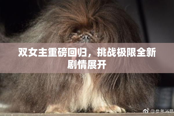双女主重磅回归，挑战极限全新剧情展开