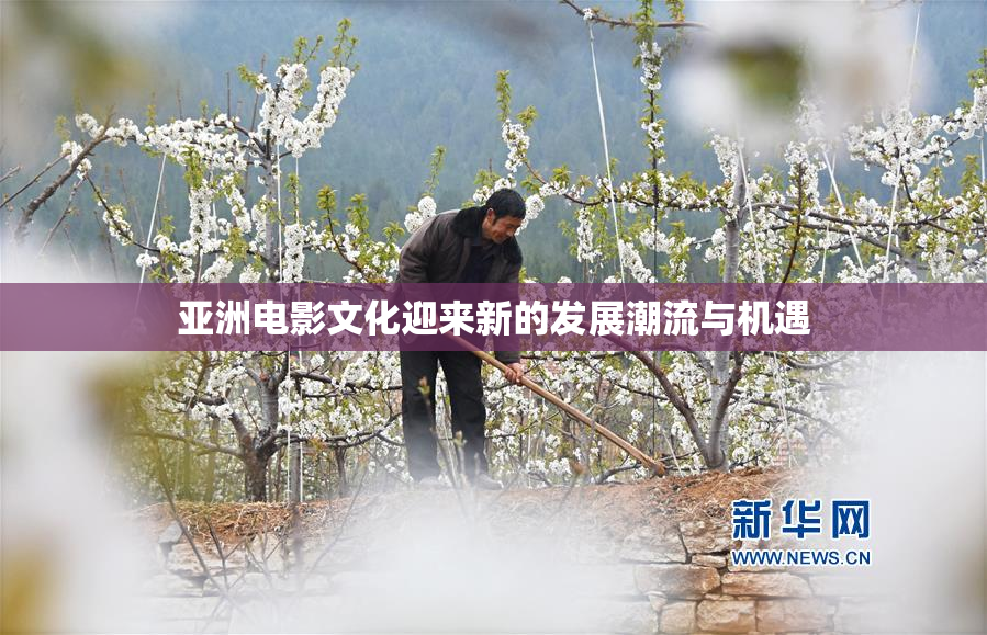 亚洲电影文化迎来新的发展潮流与机遇