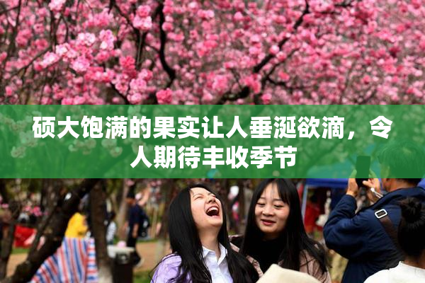 硕大饱满的果实让人垂涎欲滴，令人期待丰收季节