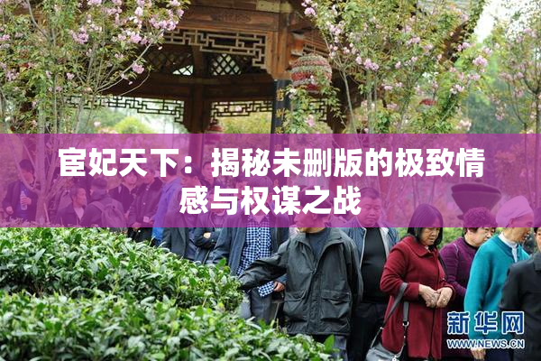 宦妃天下：揭秘未删版的极致情感与权谋之战