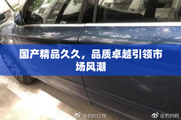 国产精品久久，品质卓越引领市场风潮