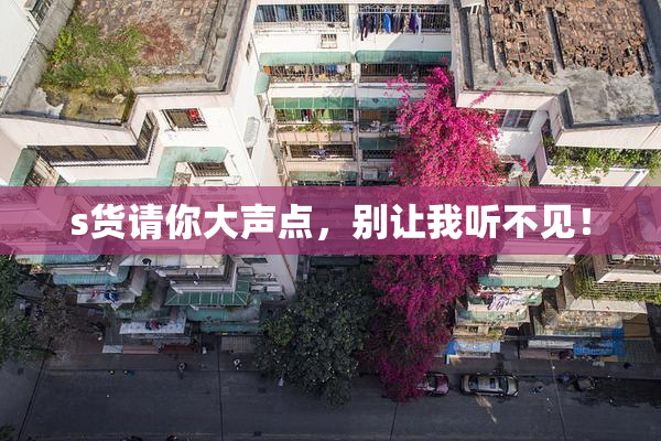s货请你大声点，别让我听不见！