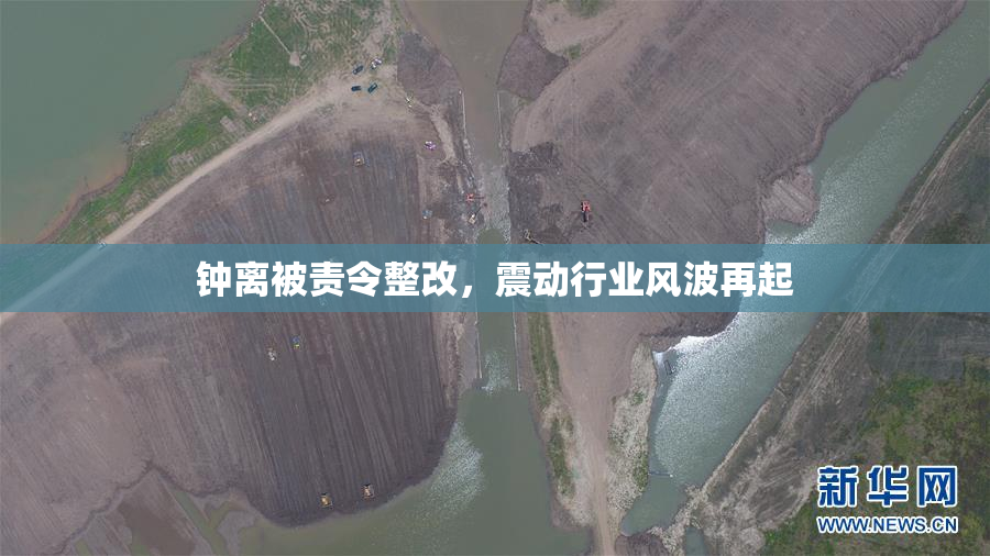 钟离被责令整改，震动行业风波再起