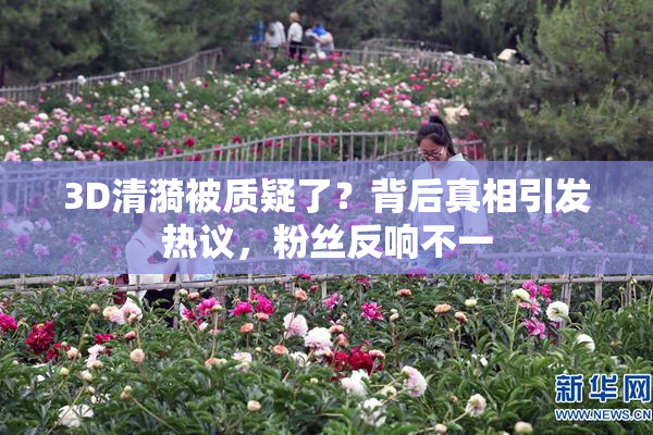 3D清漪被质疑了？背后真相引发热议，粉丝反响不一