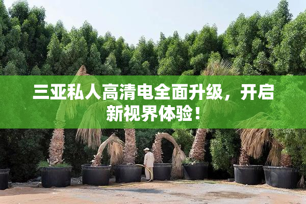 三亚私人高清电全面升级，开启新视界体验！