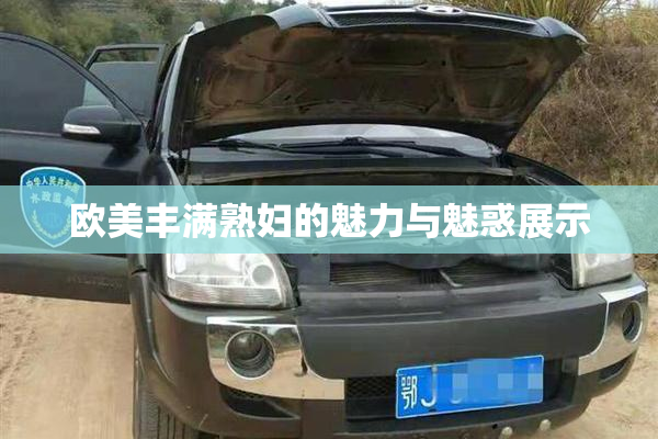 欧美丰满熟妇的魅力与魅惑展示