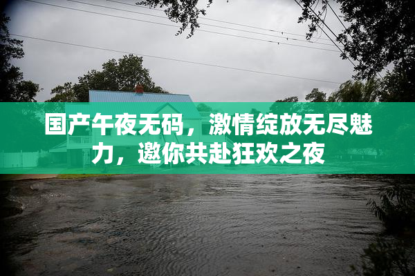 国产午夜无码，激情绽放无尽魅力，邀你共赴狂欢之夜