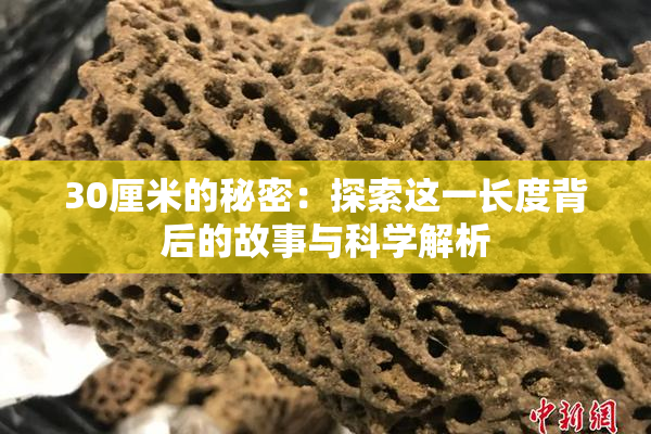 30厘米的秘密：探索这一长度背后的故事与科学解析