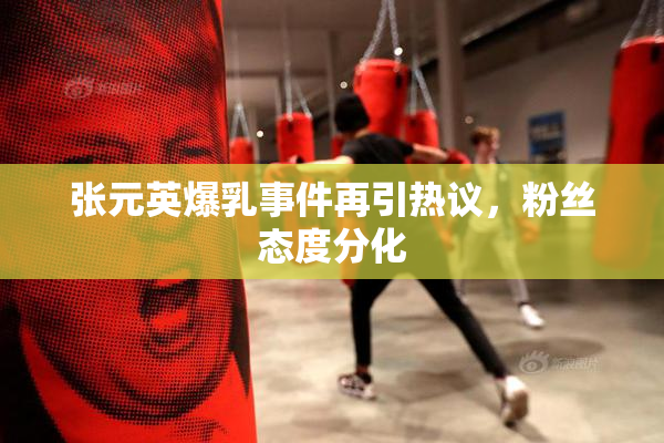 张元英爆乳事件再引热议，粉丝态度分化
