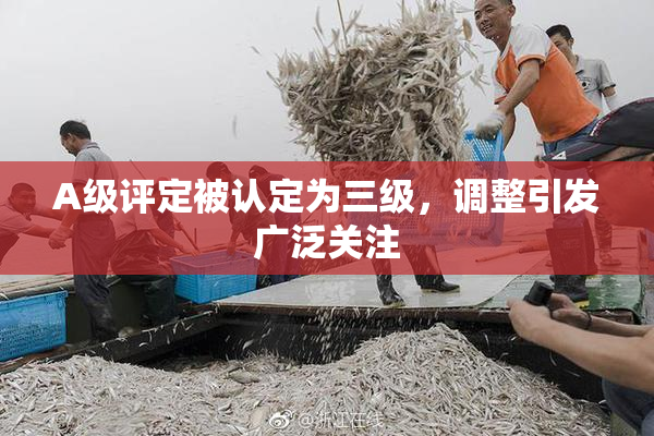 A级评定被认定为三级，调整引发广泛关注