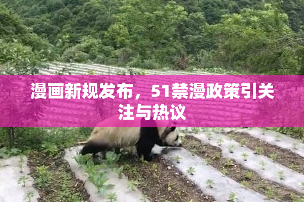 漫画新规发布，51禁漫政策引关注与热议