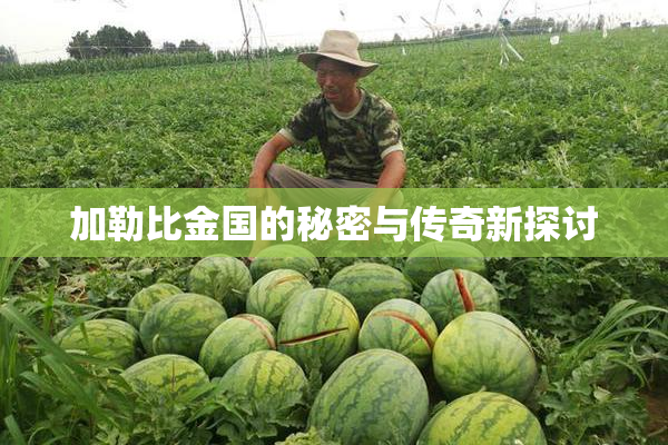 加勒比金国的秘密与传奇新探讨