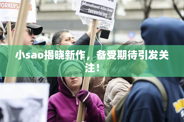 小sao揭晓新作，备受期待引发关注！