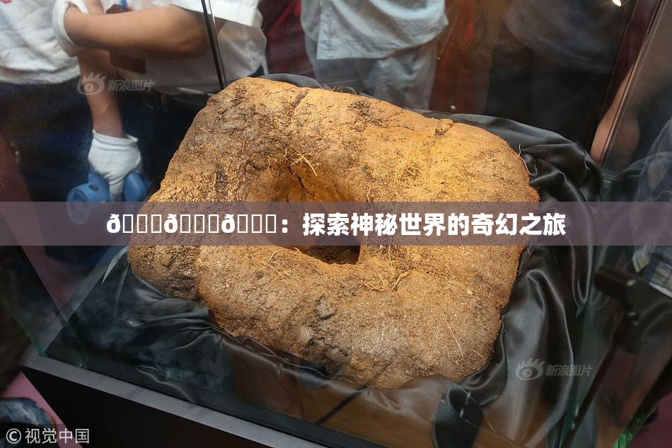 🍆🍑🔞：探索神秘世界的奇幻之旅