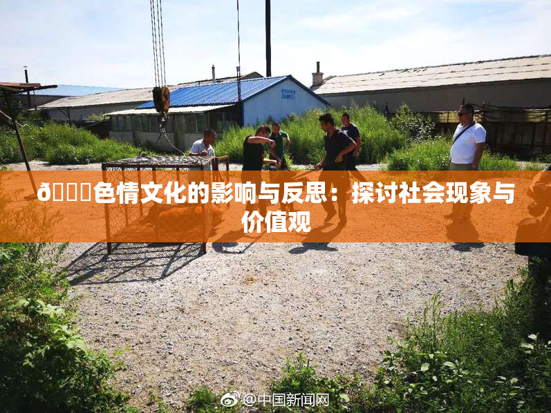 🔞色情文化的影响与反思：探讨社会现象与价值观