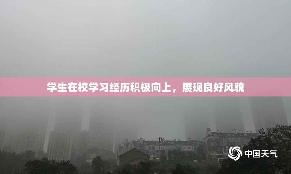 学生在校学习经历积极向上，展现良好风貌