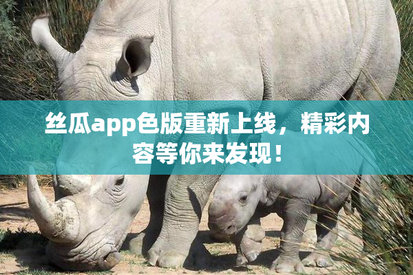丝瓜app色版重新上线，精彩内容等你来发现！
