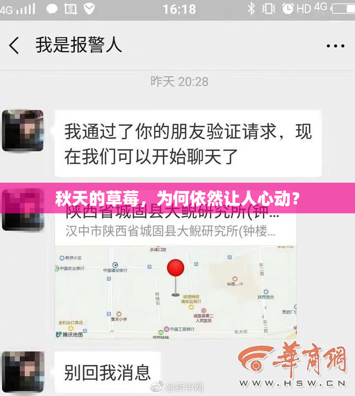 秋天的草莓，为何依然让人心动？