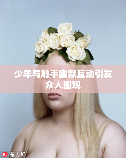 少年与触手幽默互动引发众人围观