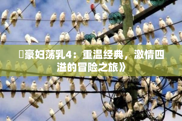 巜豪妇荡乳4：重温经典，激情四溢的冒险之旅》