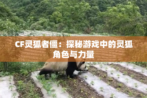 CF灵狐者僵：探秘游戏中的灵狐角色与力量