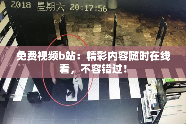 免费视频b站：精彩内容随时在线看，不容错过！