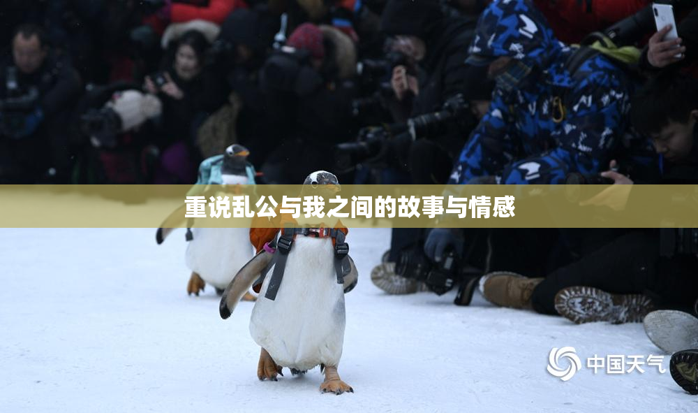 重说乱公与我之间的故事与情感
