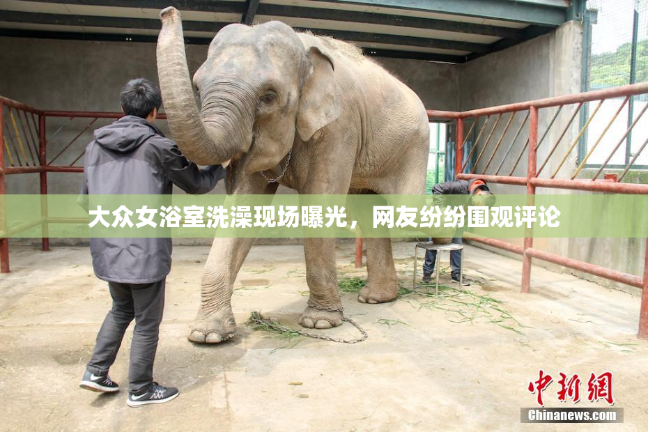 大众女浴室洗澡现场曝光，网友纷纷围观评论