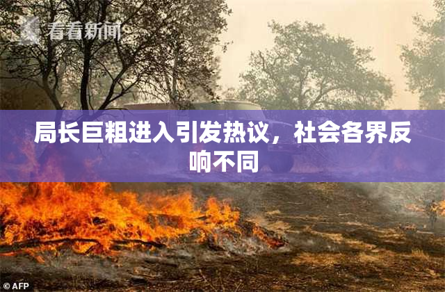 局长巨粗进入引发热议，社会各界反响不同