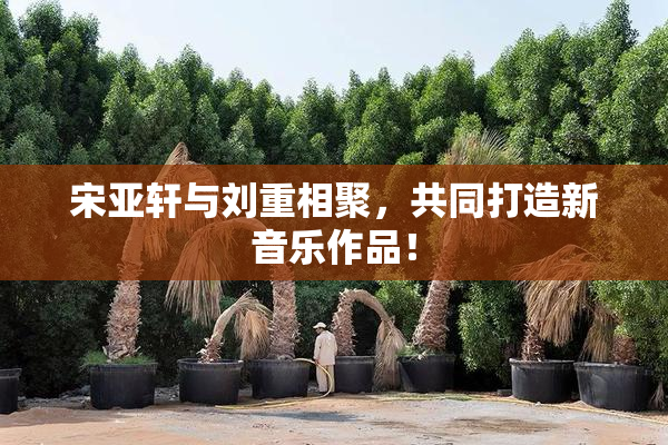 宋亚轩与刘重相聚，共同打造新音乐作品！
