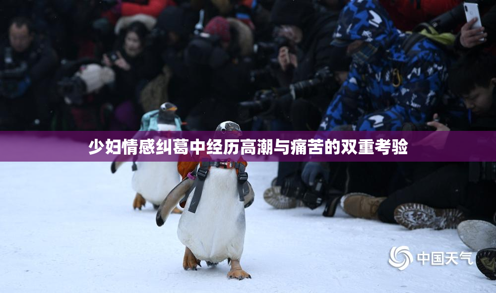 少妇情感纠葛中经历高潮与痛苦的双重考验