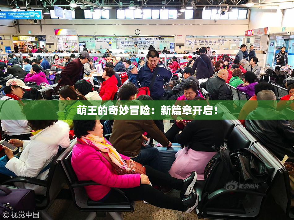 萌王的奇妙冒险：新篇章开启！