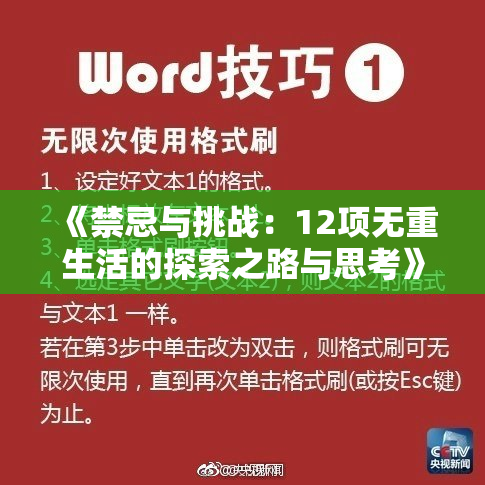《禁忌与挑战：12项无重生活的探索之路与思考》