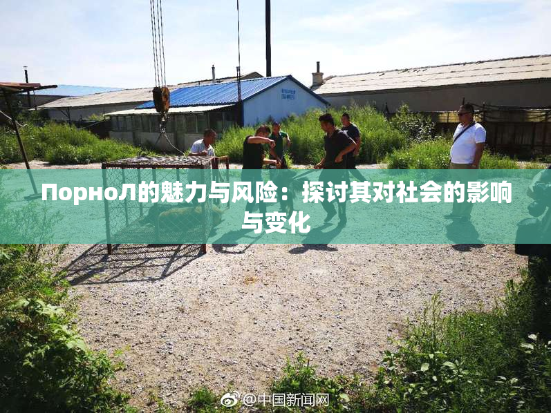 ПорноЛ的魅力与风险：探讨其对社会的影响与变化