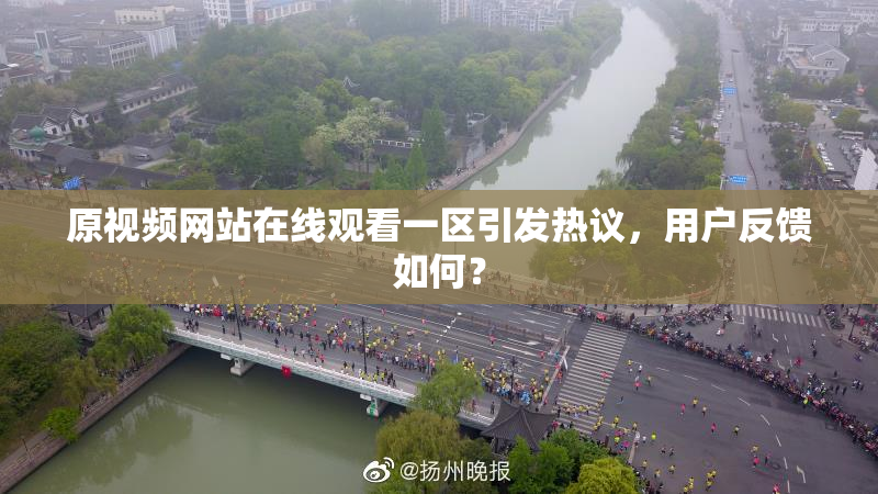 原视频网站在线观看一区引发热议，用户反馈如何？
