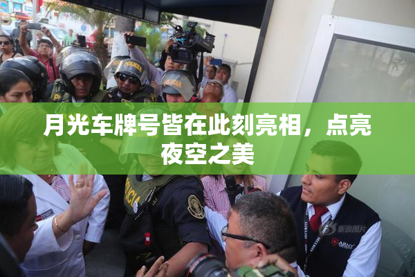 月光车牌号皆在此刻亮相，点亮夜空之美