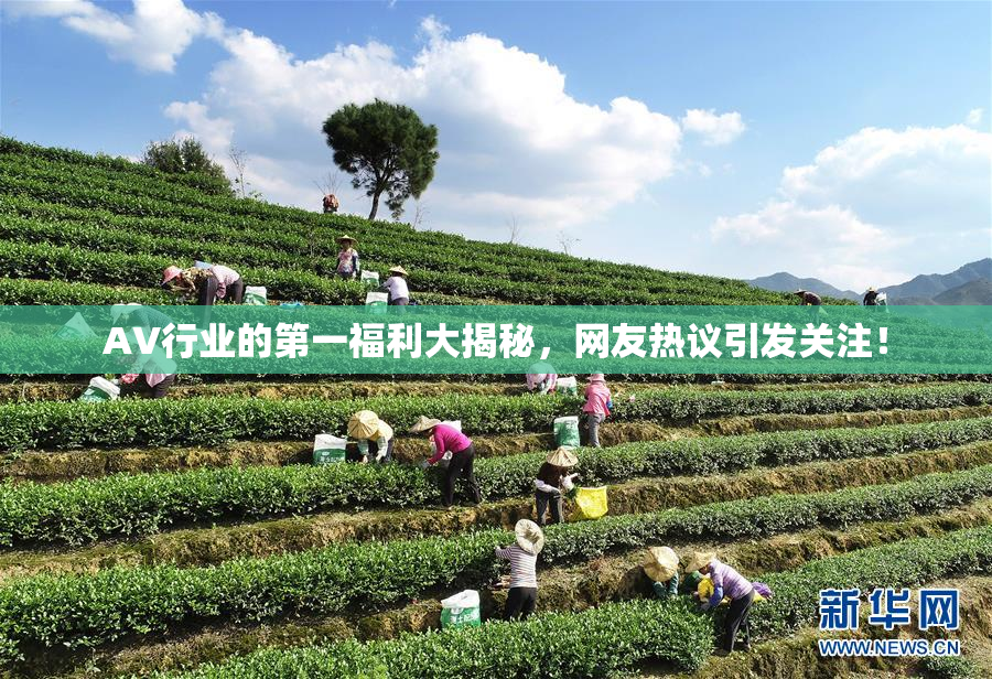 AV行业的第一福利大揭秘，网友热议引发关注！