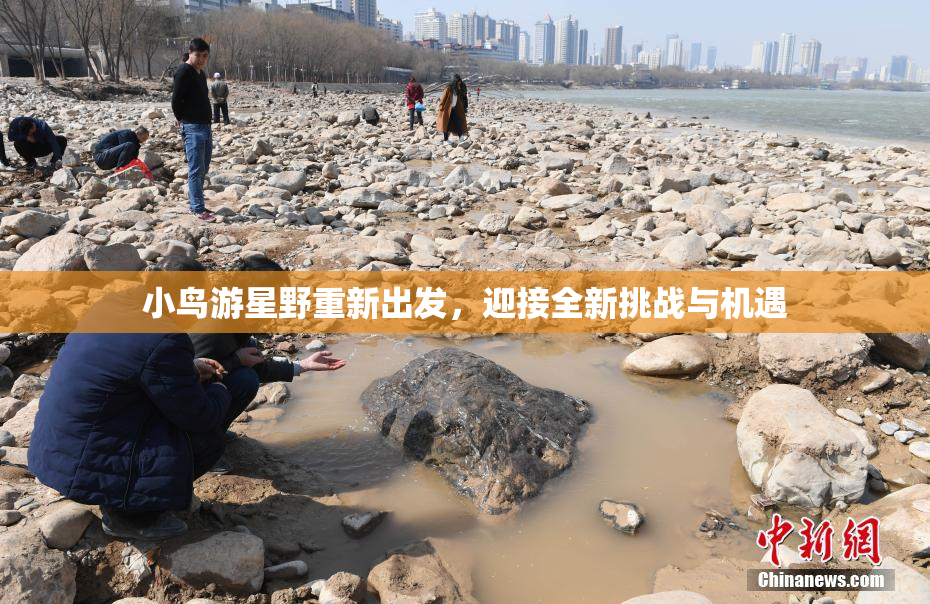 小鸟游星野重新出发，迎接全新挑战与机遇