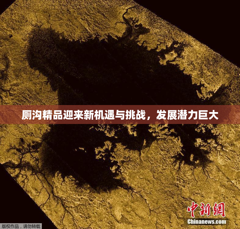 厕沟精品迎来新机遇与挑战，发展潜力巨大