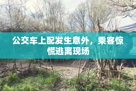 公交车上配发生意外，乘客惊慌逃离现场